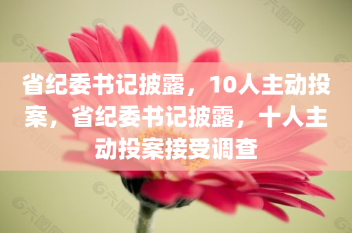 省纪委书记披露，10人主动投案，省纪委书记披露，十人主动投案接受调查