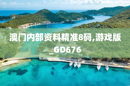 澳门内部资料精准8码,游戏版_GD676