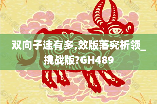 双向子速有多,效版落究析领_挑战版?GH489