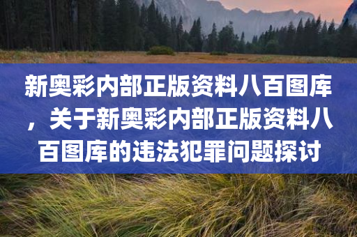 新奥彩内部正版资料八百图库，关于新奥彩内部正版资料八百图库的违法犯罪问题探讨