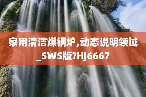 家用清洁煤锅炉,动态说明领域_SWS版?HJ6667