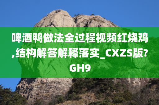 啤酒鸭做法全过程视频红烧鸡,结构解答解释落实_CXZS版?GH9