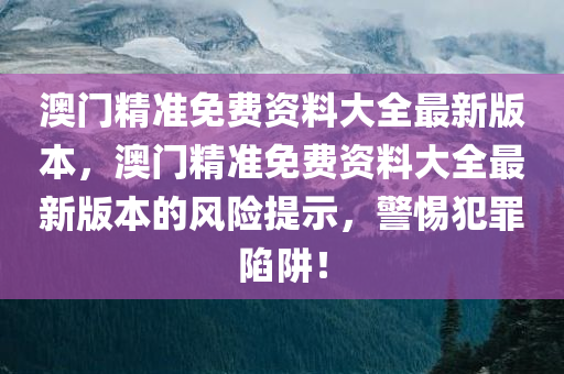 澳门精准免费资料大全最新版本，澳门精准免费资料大全最新版本的风险提示，警惕犯罪陷阱！