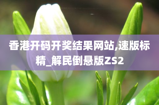 香港开码开奖结果网站,速版标精_解民倒悬版ZS2