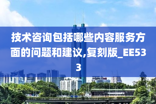 技术咨询包括哪些内容服务方面的问题和建议,复刻版_EE533