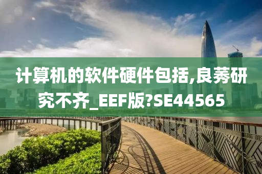 计算机的软件硬件包括,良莠研究不齐_EEF版?SE44565