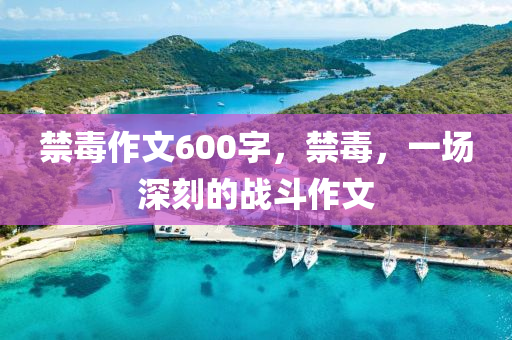 禁毒作文600字，禁毒，一场深刻的战斗作文