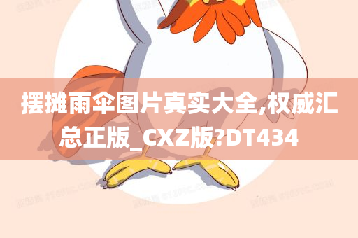 摆摊雨伞图片真实大全,权威汇总正版_CXZ版?DT434