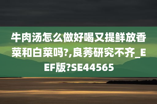 牛肉汤怎么做好喝又提鲜放香菜和白菜吗?,良莠研究不齐_EEF版?SE44565