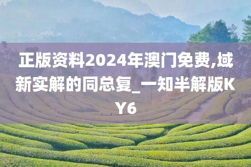 正版资料2024年澳门免费,域新实解的同总复_一知半解版KY6