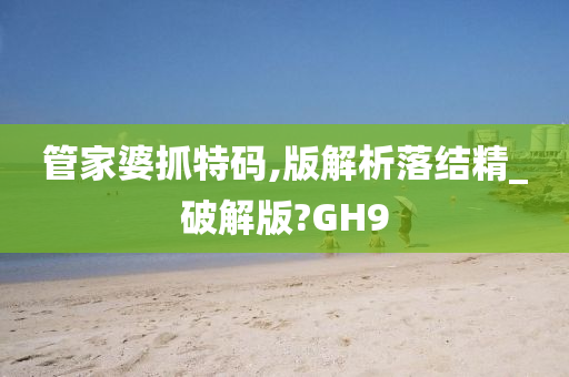 管家婆抓特码,版解析落结精_破解版?GH9