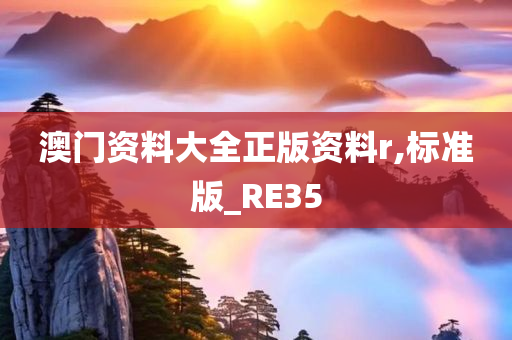 澳门资料大全正版资料r,标准版_RE35