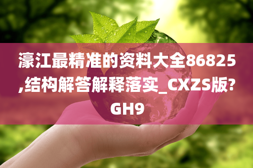 濠江最精准的资料大全86825,结构解答解释落实_CXZS版?GH9