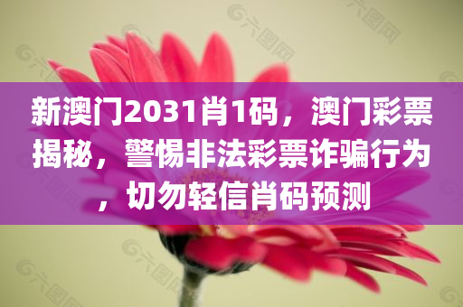 新澳门2031肖1码，澳门彩票揭秘，警惕非法彩票诈骗行为，切勿轻信肖码预测