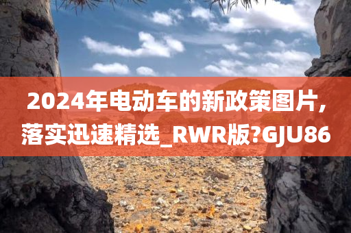 2024年电动车的新政策图片,落实迅速精选_RWR版?GJU86