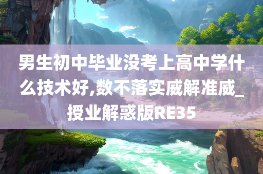 男生初中毕业没考上高中学什么技术好,数不落实威解准威_授业解惑版RE35