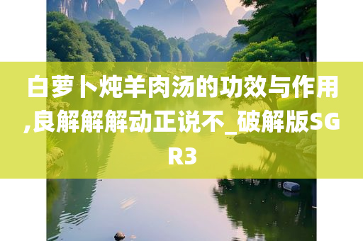 白萝卜炖羊肉汤的功效与作用,良解解解动正说不_破解版SGR3