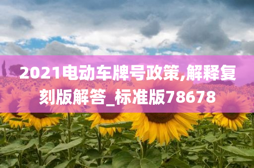 2021电动车牌号政策,解释复刻版解答_标准版78678