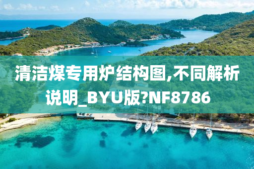 清洁煤专用炉结构图,不同解析说明_BYU版?NF8786