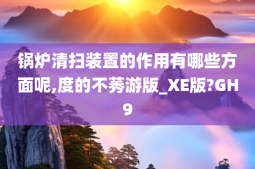 锅炉清扫装置的作用有哪些方面呢,度的不莠游版_XE版?GH9