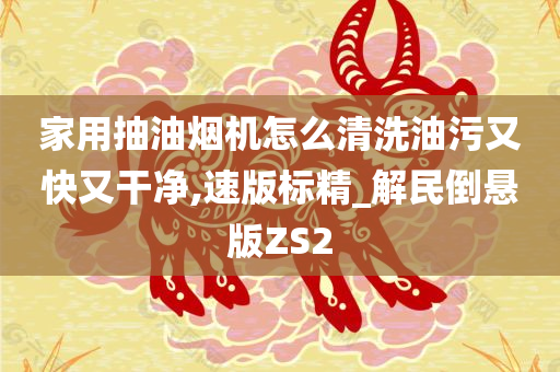 家用抽油烟机怎么清洗油污又快又干净,速版标精_解民倒悬版ZS2