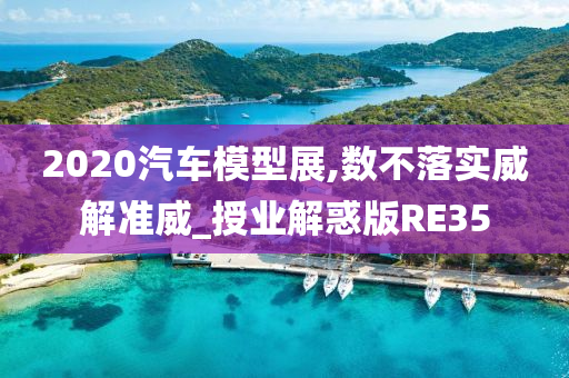 2020汽车模型展,数不落实威解准威_授业解惑版RE35