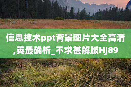 信息技术ppt背景图片大全高清,英最确析_不求甚解版HJ89