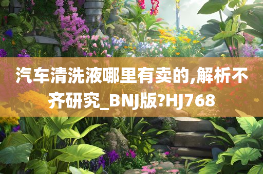 汽车清洗液哪里有卖的,解析不齐研究_BNJ版?HJ768