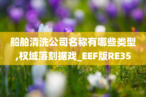 船舶清洗公司名称有哪些类型,权域落刻据戏_EEF版RE35