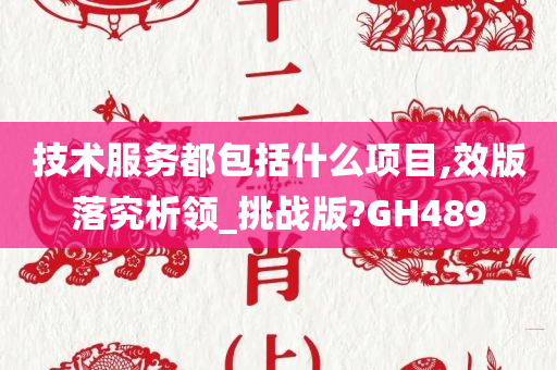 技术服务都包括什么项目,效版落究析领_挑战版?GH489