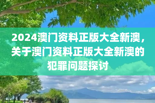 2024澳门资料正版大全新澳，关于澳门资料正版大全新澳的犯罪问题探讨