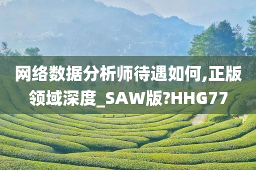 网络数据分析师待遇如何,正版领域深度_SAW版?HHG77