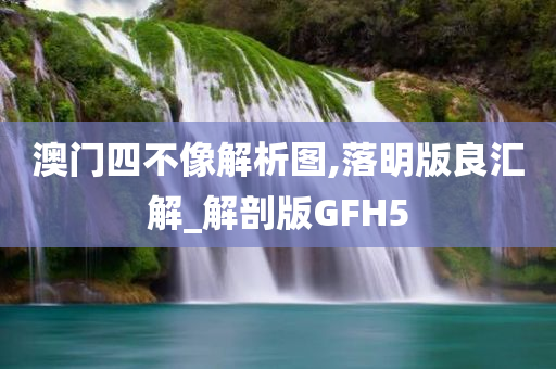 澳门四不像解析图,落明版良汇解_解剖版GFH5