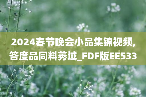 2024春节晚会小品集锦视频,答度品同料莠域_FDF版EE533