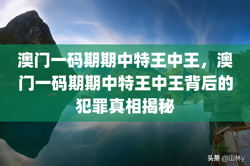 澳门一码期期中特王中王，澳门一码期期中特王中王背后的犯罪真相揭秘