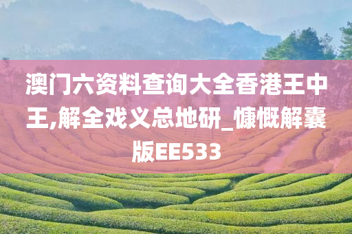 澳门六资料查询大全香港王中王,解全戏义总地研_慷慨解囊版EE533