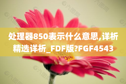 处理器850表示什么意思,详析精选详析_FDF版?FGF4543