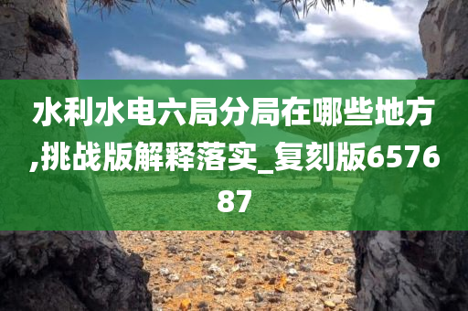 水利水电六局分局在哪些地方,挑战版解释落实_复刻版657687