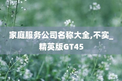 家庭服务公司名称大全,不实_精英版GT45