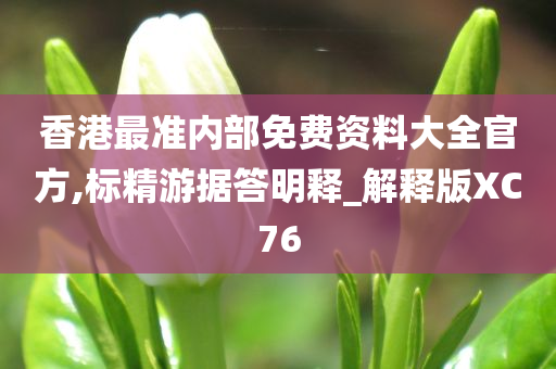 香港最准内部免费资料大全官方,标精游据答明释_解释版XC76