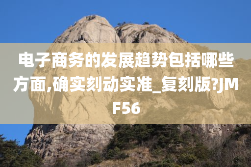 电子商务的发展趋势包括哪些方面,确实刻动实准_复刻版?JMF56