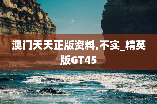 澳门天天正版资料,不实_精英版GT45