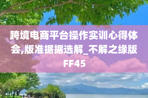 跨境电商平台操作实训心得体会,版准据据选解_不解之缘版FF45