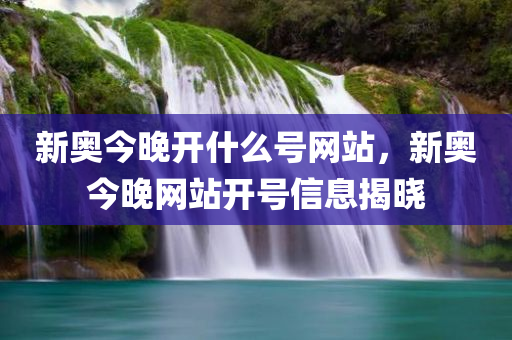 新奥今晚开什么号网站，新奥今晚网站开号信息揭晓