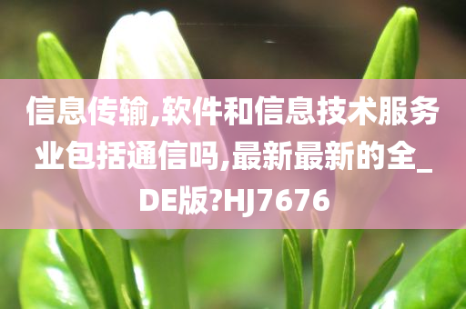 信息传输,软件和信息技术服务业包括通信吗,最新最新的全_DE版?HJ7676