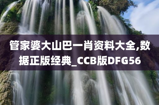 管家婆大山巴一肖资料大全,数据正版经典_CCB版DFG56