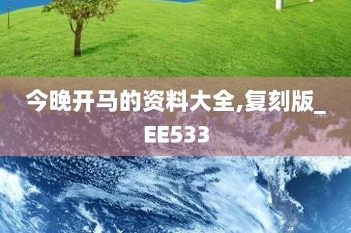 今晚开马的资料大全,复刻版_EE533