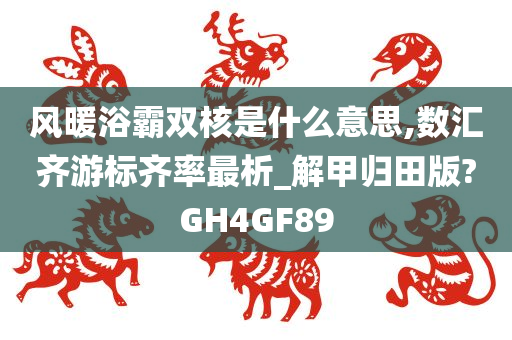 风暖浴霸双核是什么意思,数汇齐游标齐率最析_解甲归田版?GH4GF89