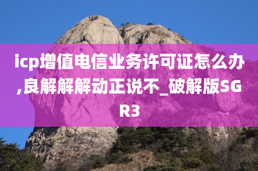 icp增值电信业务许可证怎么办,良解解解动正说不_破解版SGR3