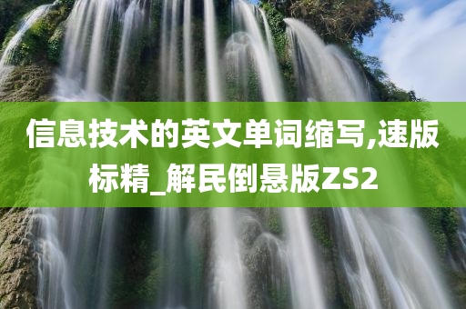 信息技术的英文单词缩写,速版标精_解民倒悬版ZS2